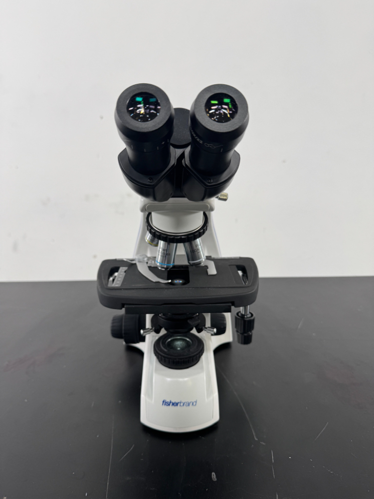 Image of Fisherbrand Inverted Microscope